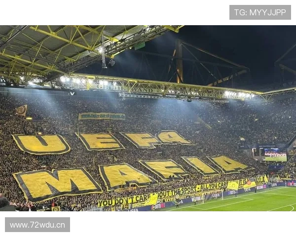 多特蒙德官宣新一笔百万欧合作